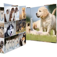 HERMA Ringbuch, Animals, - Hunde, DIN A4, 2-Ring-Mechanik