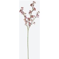 NKD 5226729 Kunstblume Fetthenne – Bild 2