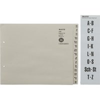 LEITZ Tauenpapier-Register, A-Z, für 8 Ordner, grau