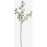 NKD 5226731 Kunstblume Fetthenne – Bild 2