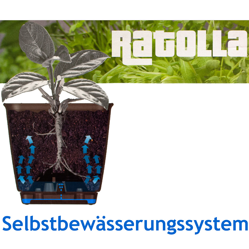 Deuba Balkonkasten Ratolla Umbra 39x16x14,5cm Bewässerungssystem – Bild 3