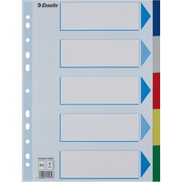 Esselte Kunststoff-Register, blanko, A4, PP, 5-teilig