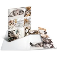 HERMA Eckspannermappe, Katzen, aus Karton, DIN A4