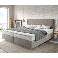 DELIFE Dream-Well Boxspringbett 200x200