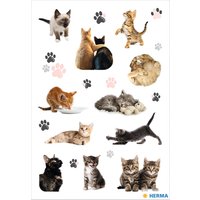 HERMA Sticker DECOR Fröhliche Katzenkinder, Papier – Bild 2
