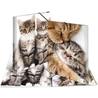 HERMA Eckspannermappe, Katzen, aus PP, DIN A4