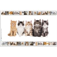 HERMA Schreibunterlage, Katzen, (B)550 x (H)350 mm