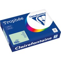 Clairefontaine Multifunktionspapier Trophée, A4, stahlgrau