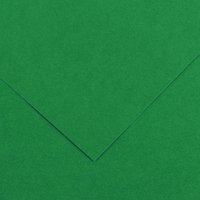 CANSON Tonpapier Vivaldi, 500 x 650 mm, moosgrün – Bild 2