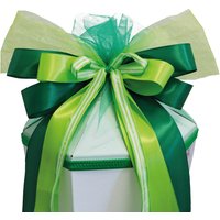 ROTH Schultütenschleife, Green Magic, grün – Bild 2