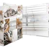 HERMA Ringbuch, Animals, - Katzen, DIN A4, 2-Ring-Mechanik