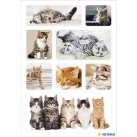 HERMA Sticker DECOR, Katzenkinder – Bild 2
