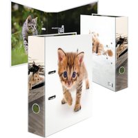 HERMA Motivordner Lieblingstiere, Katze, DIN A4