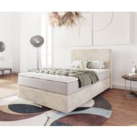 DELIFE Dream-Well Boxspringbett 120x200