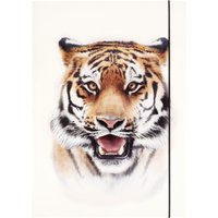 folia Zeichnungsmappe BASIC, Roaring Tiger, Karton, DIN A3