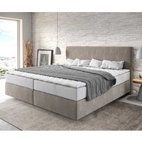 DELIFE Dream-Well Boxspringbett 200x200