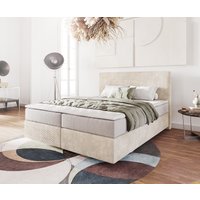 DELIFE Dream-Well Boxspringbett 160x200