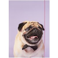 folia Zeichnungsmappe BASIC, Puggy Love, Karton, DIN A3