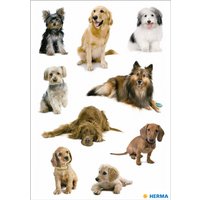 HERMA Sticker DECOR, Hundefotos – Bild 2