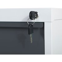 phoenix Aktenschrank FC1002GBK, 2 Schubladen, hellgrau/blau