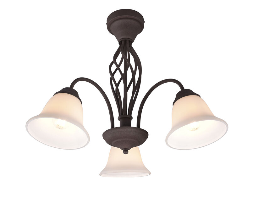 Trio 601000324 Rustica Deckenleuchte – Bild 4