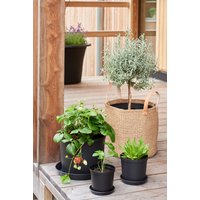 Orthex SC-63500072 Blumentopf 30 cm – Bild 2