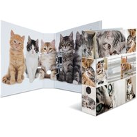 HERMA Motivordner, Animals, DIN A4, Katzen – Bild 2