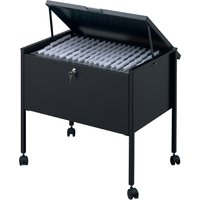 DURABLE Hängemappen-Wagen , Economy 80 Top, , schwarz