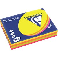Clairefontaine Multifunktionspapier Trophée, A4, sortiert – Bild 2