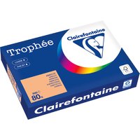 Clairefontaine Multifunktionspapier Trophée, A4, gelb