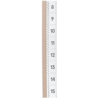 DURABLE Vollsicht-Reiter TABFIX, transparent, 2-zeilig