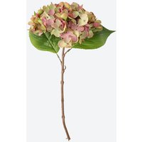 NKD 5226269 Kunstblume Hortensie – Bild 2