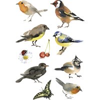 HERMA Sticker DECOR, Aquarell Vögel