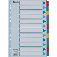 Esselte Karton-Register, blanko, A4, 12-teilig, mehrfarbig – Bild 2