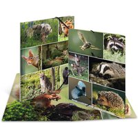 HERMA Eckspannermappe, Waldtiere, Karton, DIN A4 – Bild 2