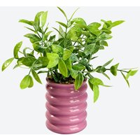 Kunstblume im Topf, ca. 13 cm