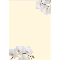 sigel Design-Papier, DIN A4, 90 g/qm, Motiv, White Orchid – Bild 2