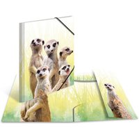 HERMA Eckspannermappe Exotische Tiere, A4, Erdmännchentruppe – Bild 2