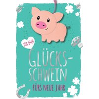 CACTUS Neujahrskarte mit Filzschwein – Bild 2