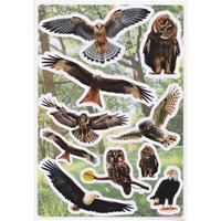 HERMA Sticker DECOR Greifvögel