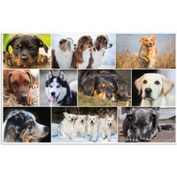 HERMA Schreibunterlage, Hunde, (B)550 x (H)350 mm