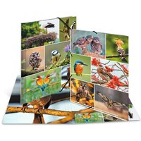 HERMA Eckspannermappe, Heimatvögel, Karton, DIN A4