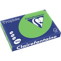 Clairefontaine Multifunktionspapier Trophée, A3, stahlgrau
