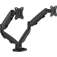 Fellowes Doppel-Monitorarm Eppa, schwarz