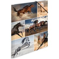 HERMA Eckspannermappe, Hunde, aus Karton, DIN A3
