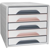 CEP Schubladenbox Smoove Mineral, 5 Schübe, puderrosa