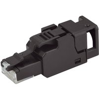Telegärtner RJ45-Stecker Kat.6A (tief), ungeschirmt, T568A