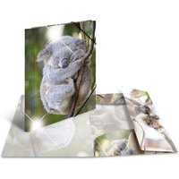 HERMA Eckspannermappe, Koala, PP Glossy, DIN A4 – Bild 2