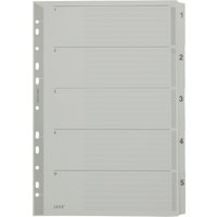 LEITZ Mylarkarton-Register, Zahlen, A4, 1-5, 5-teilig, grau
