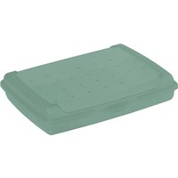 keeeper Brotdose, luca, Click-Box mini, nordic-green – Bild 2